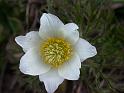 2004 05 27 Le Pecloz 035